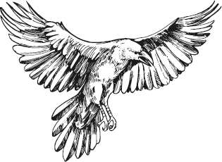 Иллюстрация к книге — Царство призраков [i_002.jpg]