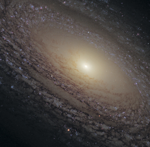 Иллюстрация к книге — Галактики. Большой путеводитель по Вселенной [i_020.jpg]