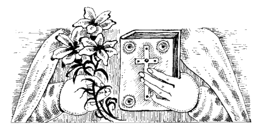 Иллюстрация к книге — Инквизиция и инквизиторы во Франции [i_005.jpg]