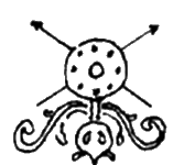 Иллюстрация к книге — Иван Грозный. Двойной портрет [i_006.jpg]