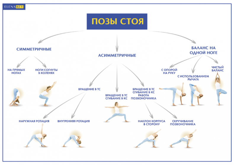 Иллюстрация к книге — Йога. Современное руководство по решению проблем [i_004.jpg]
