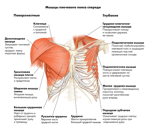 Иллюстрация к книге — Йога. Современное руководство по решению проблем [i_020.jpg]
