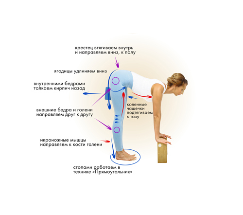 Иллюстрация к книге — Йога. Современное руководство по решению проблем [i_033.jpg]