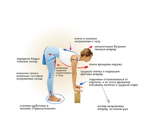 Иллюстрация к книге — Йога. Современное руководство по решению проблем [i_034.jpg]