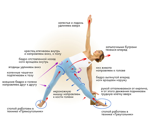 Иллюстрация к книге — Йога. Современное руководство по решению проблем [i_038.jpg]