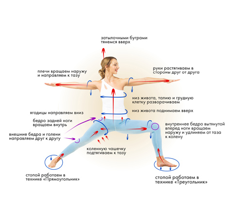 Иллюстрация к книге — Йога. Современное руководство по решению проблем [i_043.jpg]