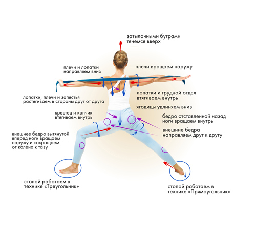 Иллюстрация к книге — Йога. Современное руководство по решению проблем [i_044.jpg]