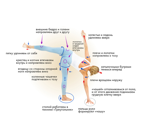 Иллюстрация к книге — Йога. Современное руководство по решению проблем [i_053.jpg]