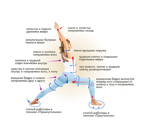 Иллюстрация к книге — Йога. Современное руководство по решению проблем [i_057.jpg]