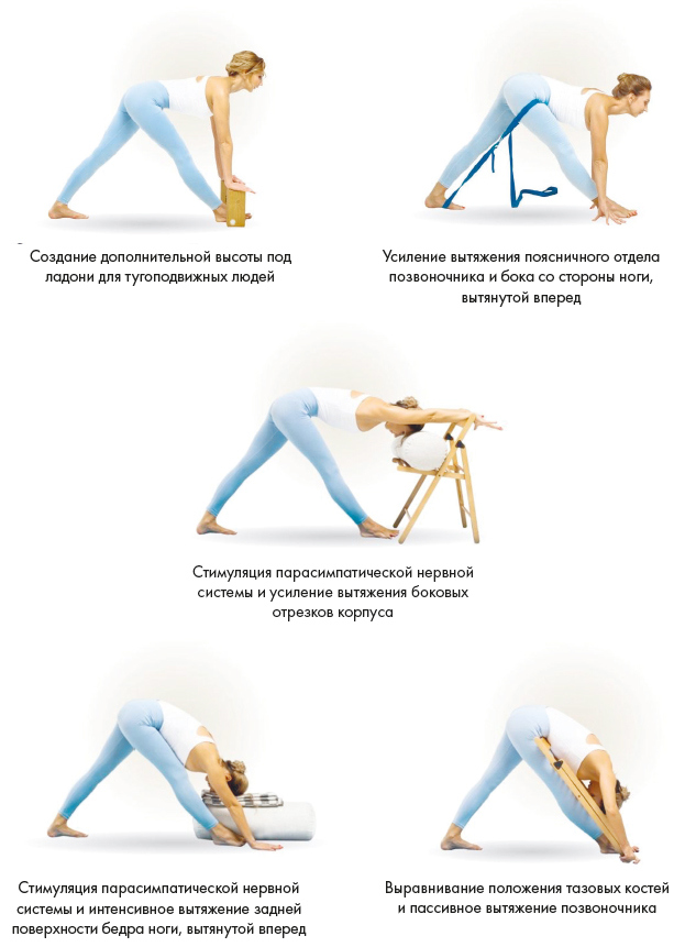 Иллюстрация к книге — Йога. Современное руководство по решению проблем [i_062.jpg]