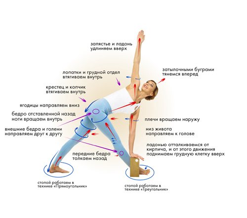 Иллюстрация к книге — Йога. Современное руководство по решению проблем [i_064.jpg]