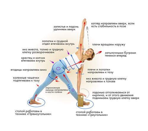 Иллюстрация к книге — Йога. Современное руководство по решению проблем [i_065.jpg]