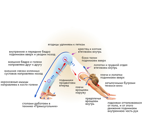 Иллюстрация к книге — Йога. Современное руководство по решению проблем [i_073.jpg]