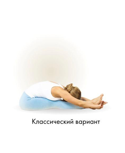 Иллюстрация к книге — Йога. Современное руководство по решению проблем [i_088.jpg]