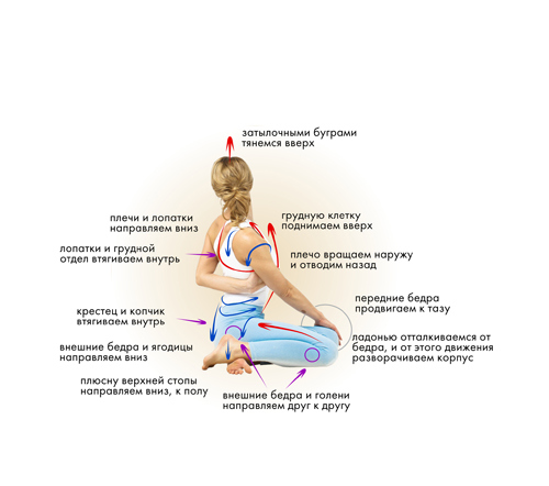 Иллюстрация к книге — Йога. Современное руководство по решению проблем [i_097.jpg]