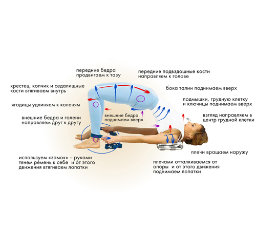 Иллюстрация к книге — Йога. Современное руководство по решению проблем [i_114.jpg]