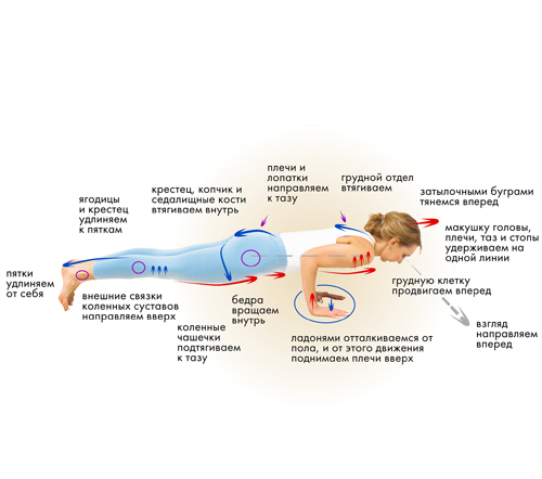 Иллюстрация к книге — Йога. Современное руководство по решению проблем [i_118.jpg]