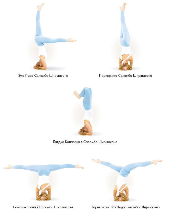 Иллюстрация к книге — Йога. Современное руководство по решению проблем [i_132.jpg]