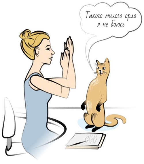 Иллюстрация к книге — Йога. Современное руководство по решению проблем [i_171.jpg]