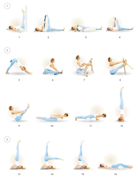 Иллюстрация к книге — Йога. Современное руководство по решению проблем [i_177.jpg]