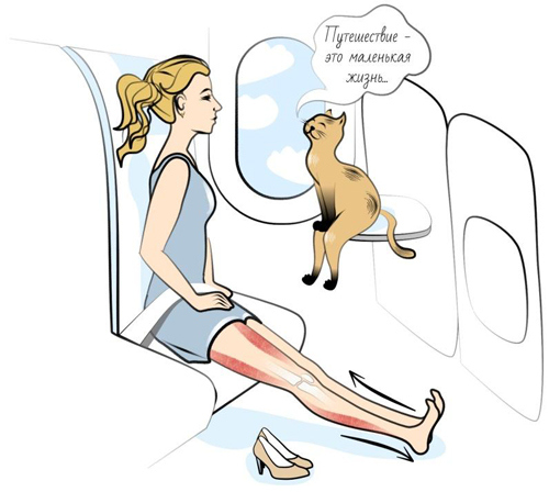 Иллюстрация к книге — Йога. Современное руководство по решению проблем [i_179.jpg]