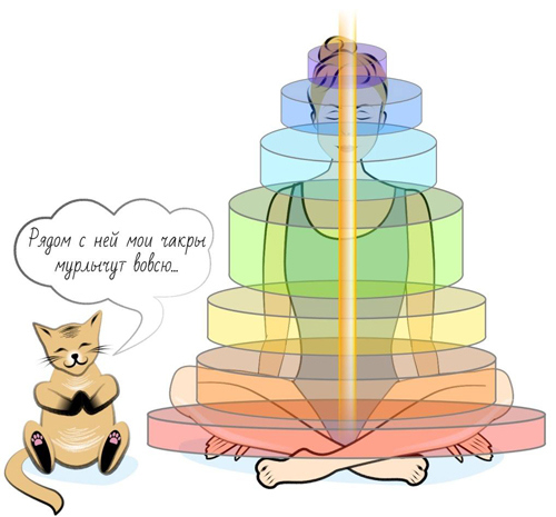 Иллюстрация к книге — Йога. Современное руководство по решению проблем [i_182.jpg]