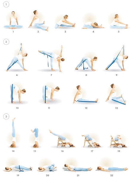 Иллюстрация к книге — Йога. Современное руководство по решению проблем [i_188.jpg]