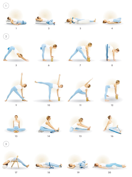 Иллюстрация к книге — Йога. Современное руководство по решению проблем [i_206.jpg]