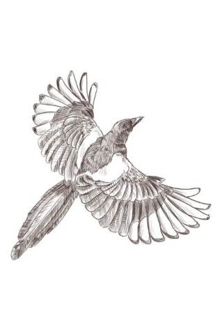 Иллюстрация к книге — Охотник за воспоминаниями [i_005.jpg]