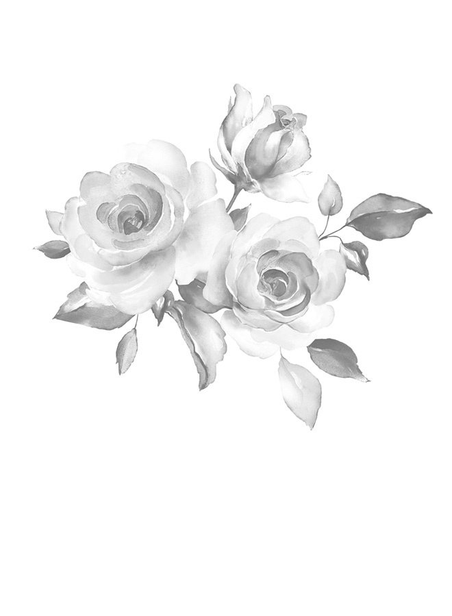 Иллюстрация к книге — Девять жизней Роуз Наполитано [i_001.jpg]