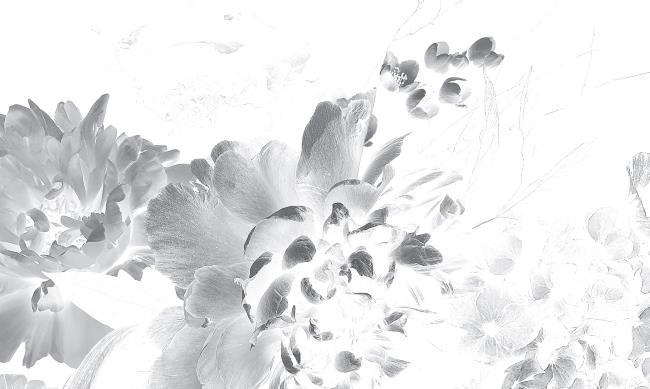 Иллюстрация к книге — О женщинах и соли [i_001.jpg]