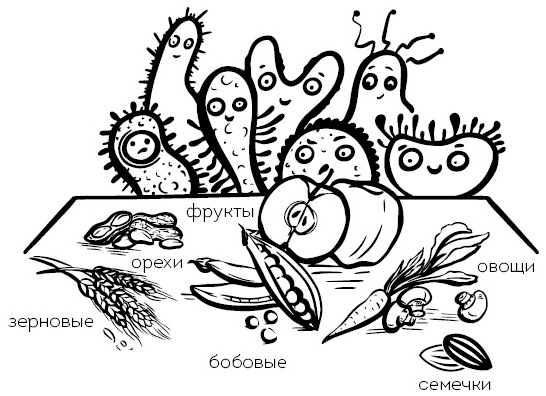 Иллюстрация к книге — Что мы знаем (и не знаем) о еде. Научные факты, которые перевернут ваши представления о питании [i_004.jpg]