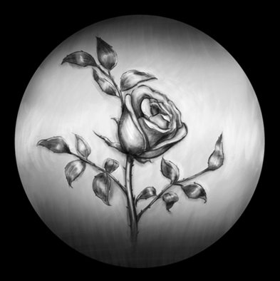 Иллюстрация к книге — Умоляй меня [img_14.jpg]