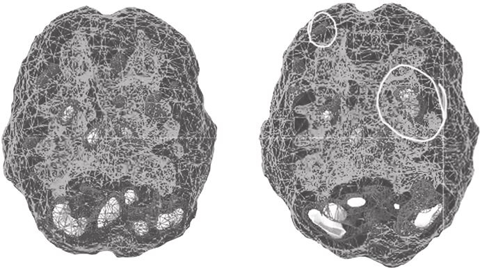 Иллюстрация к книге — Независимый мозг. Эффективная программа по проработке эмоций, преодолению стресса и формированию новых пищевых стратегий [i_055.jpg]