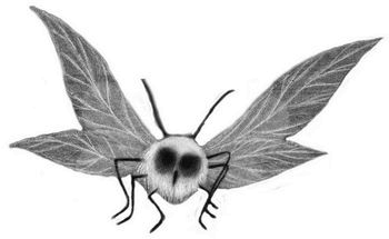 Иллюстрация к книге — Давай играть [i_057.jpg]