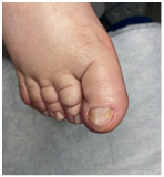 Иллюстрация к книге — Подология понятно. Важен каждый шаг. Справочник по проблемам подологии для клиентов и мастеров эстетики [i_114.jpg]