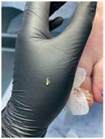 Иллюстрация к книге — Подология понятно. Важен каждый шаг. Справочник по проблемам подологии для клиентов и мастеров эстетики [i_162.jpg]