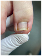 Иллюстрация к книге — Подология понятно. Важен каждый шаг. Справочник по проблемам подологии для клиентов и мастеров эстетики [i_164.jpg]