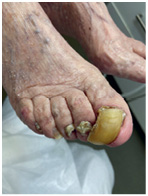 Иллюстрация к книге — Подология понятно. Важен каждый шаг. Справочник по проблемам подологии для клиентов и мастеров эстетики [i_252.jpg]