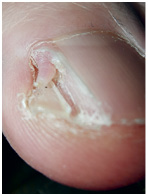 Иллюстрация к книге — Подология понятно. Важен каждый шаг. Справочник по проблемам подологии для клиентов и мастеров эстетики [i_290.jpg]