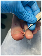 Иллюстрация к книге — Подология понятно. Важен каждый шаг. Справочник по проблемам подологии для клиентов и мастеров эстетики [i_311.jpg]