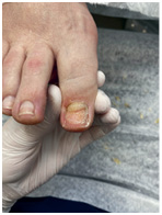 Иллюстрация к книге — Подология понятно. Важен каждый шаг. Справочник по проблемам подологии для клиентов и мастеров эстетики [i_319.jpg]