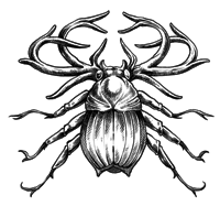 Иллюстрация к книге — Отцеубийцы [i_011.jpg]