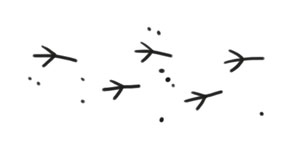 Иллюстрация к книге — Охота на маленькую щуку [i_005.jpg]