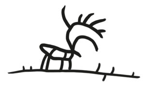 Иллюстрация к книге — Охота на маленькую щуку [i_010.jpg]