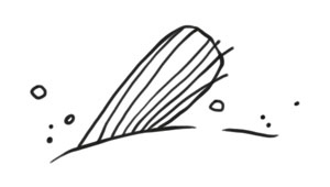 Иллюстрация к книге — Охота на маленькую щуку [i_011.jpg]