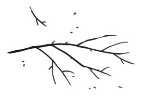 Иллюстрация к книге — Охота на маленькую щуку [i_017.jpg]