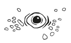 Иллюстрация к книге — Охота на маленькую щуку [i_019.jpg]