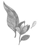 Иллюстрация к книге — Когда порвется нить [i_002.jpg]