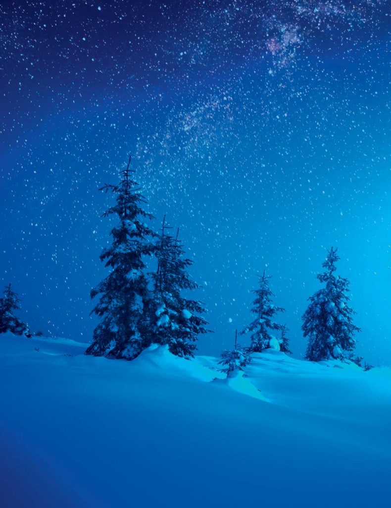 Иллюстрация к книге — Кёльн. Ярмарка чудес [i_012.jpg]